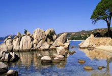 西班牙人队近期有哪些关键动态？阵容、赛事与引援都有新变化？